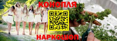 прущие крисы Аргун